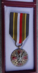 A close up of the Polish Army Medal in Bronze awarded to Petronis by the Polish MOD.